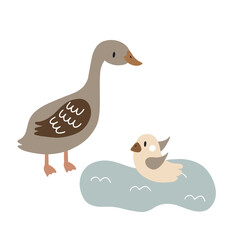 Mother duck and duckling in flat style. Vector illustration of a pet on a white background for your design.