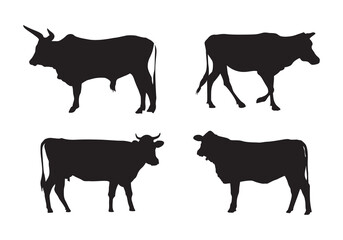 Set of cows. Black silhouette of cow isolated on white. Domestic animal.
