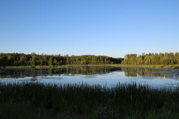Calm Wetlands, Elk Island National Park, Alberta