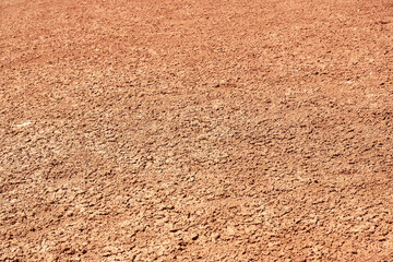 Background texture of dry orange ground. Abstract nature backgrounds