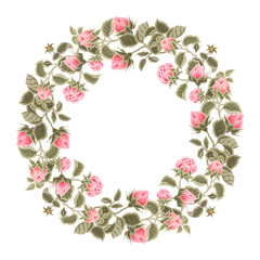 Pastel pink flower wreath illustration with roses, green leaf branches for wedding stationary, greeting card decoration, feminine posters, beauty elements isolated on white background