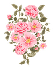 Pastel pink flower bouquet illustration with roses, peony, green leaf branches for wedding stationary, greeting card decoration, feminine and beauty elements isolated on white background