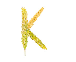 The letter K, made of spikelets of grain on a white background
