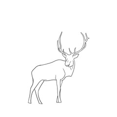 Hirsch Icon Tier Geweih Outline Illustration 