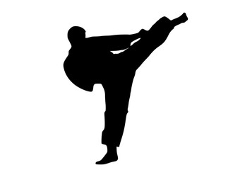 Karate Kickboxen Kampfkunst Silhouette Icon Grafik 