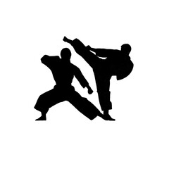 Fototapeta na wymiar Karate Silhouette Kämpfer Zeichnung Icon 