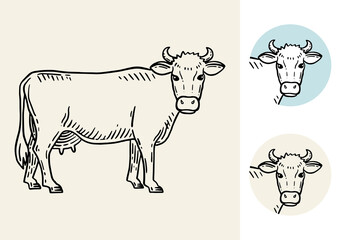 Set of cows. Farm animal. Hand drawn sketch. Vintage style. Color vector illustration.