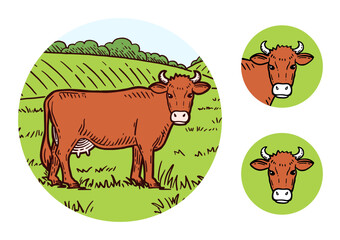 Rural landscape. Cows graze in the meadow. Hand drawn sketch. Vintage style. Color vector illustration isolated on green background.