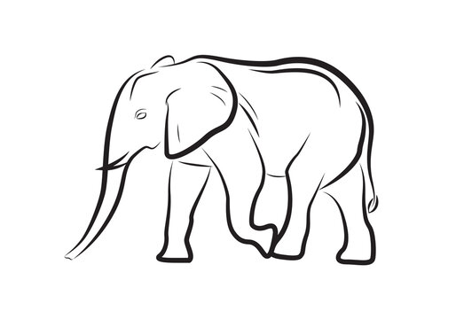 Elephant logo. African elephant walking vector isolated on white.
