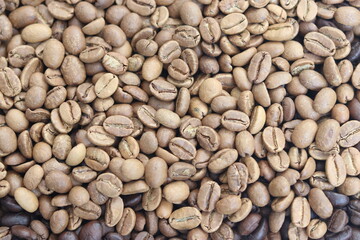 Light Roasted coffee beans background. Beverage concept for wallpaper, backdrop and texture. 