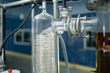 Marijuana, hemp or cannabis plant leaves farm equipment in lab room. Organic product in laboratory...