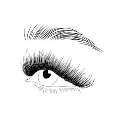 Realistic lashes on white background. Female open eyes and brows. Lamination and extension eyelashes. Beauty studio logo. Linear vector Illustration in trendy minimalist style.