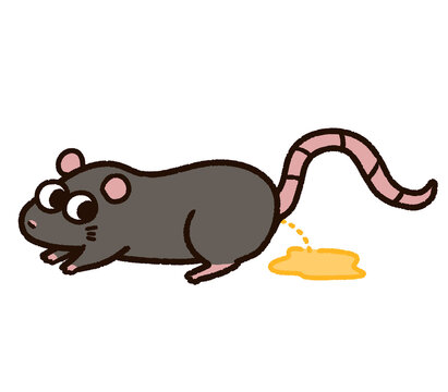 実験動物 Images Browse 253 Stock Photos Vectors And Video Adobe Stock