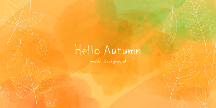 Vector illustration of autumn banner background. Botanical leaves line art and watercolor.