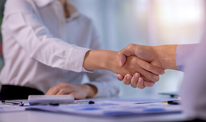 Businessman handshake and business people. Successful business handshake concept.