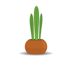 Cactus on pot with solid and flat color.
