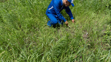 空き地　売地　草むしり　整備イメージ © oka