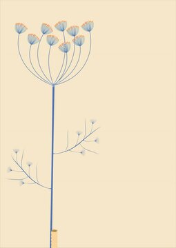 Dill