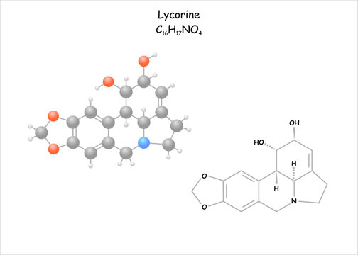 Stylized molecule model/structural formula of lycorine. Toxic component in narcissusses..