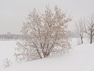 Ile de la visitation nature park in the snow. Montreal, Quebec, Canada