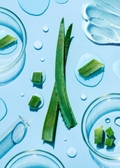 petri dish on a light blue background drops of aloe vera