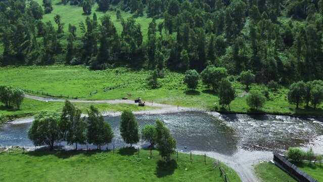 A mountain river flowing in the countryside among the green mountains. Aerial photography. Chemal, Altai Republic, Russia. High quality Full HD footage