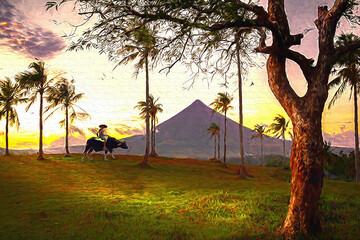 Sunset Sunrise Mayon Volcano in Legazpi City Philippines with a farmer riding on carabao.