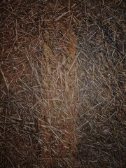 Grunge Texture. Monochrome retro grunge texture illustration. Abstract background with aged old rust.For usage of posters banners and designs.texture of concrete floor background for creation.