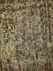Grunge Texture. Monochrome retro grunge texture illustration. Abstract background with aged old rust.For usage of posters banners and designs.texture of concrete floor background for creation.