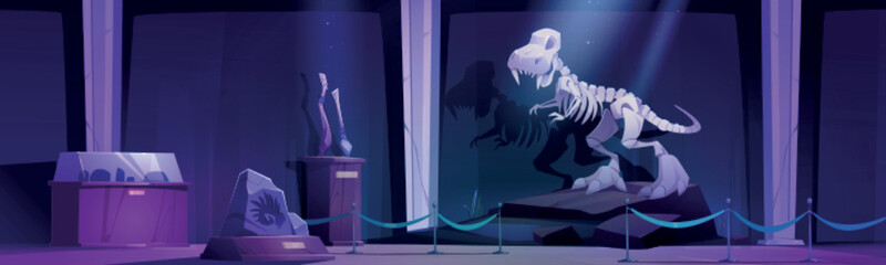 Night paleontology museum with dinosaur skeleton, stone age weapon and prehistoric mollusk print on rock. Tyrannosaurus rex fossils, ancient artifacts at archeology exhibit Cartoon vector illustration