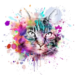 Fototapeten abstract colorful cat muzzle illustration, graphic design concept color art © reznik_val