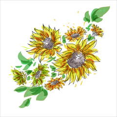 Watercolor blooming sunflower plant. 
