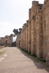 The ancient city of Jerash in the morning in February, Jordan