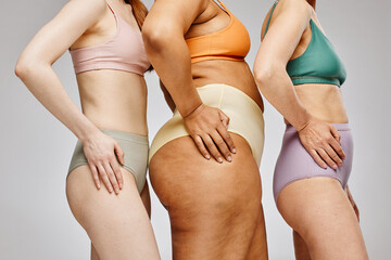 Cropped shot of real women wearing underwear against grey, focus on hips with skin texture - obrazy, fototapety, plakaty