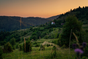 House in a pine and spruce forest in the mountains at sunset, a beautiful peaceful landscape. Tara mountains, travel to Serbia