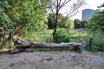 나무, 네이처, 돌, 경관, 공원, 의자, 바위, 목초, 뜰, h2o, 바위, sky, 나이든, 강, 폭포, 교량