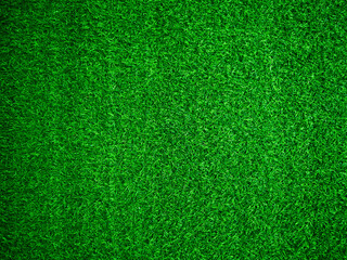 Plakat Green grass texture background grass garden concept used for making green background football pitch, Grass Golf, green lawn pattern textured background.
