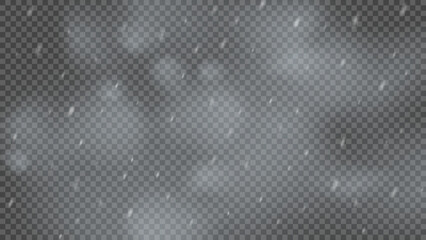 Snowstorm and falling snowflakes