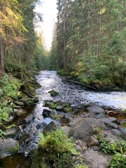 Mountain river among large stones and with forest banks