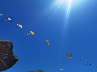 Row of kites tied by a single thread flying in a blue sky above the beach umbrellas.