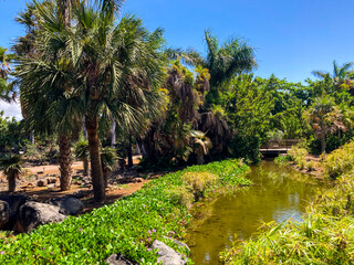 Obraz premium Botanical tropical city park of Puerto de la Cruz, Tenerife, Canary Islands, Spain