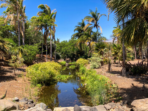 Botanical tropical city park of Puerto de la Cruz, Tenerife, Canary Islands, Spain