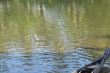 view of river in India