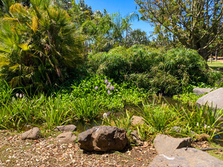 Botanical tropical city park of Puerto de la Cruz, Tenerife, Canary Islands, Spain