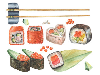 Watecolor hanndraw japanese illustration of sushi and sushi set with fish and shrimps, avocado. Asian cuisine, restaurant dish.