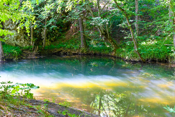 Charming lake in the forest