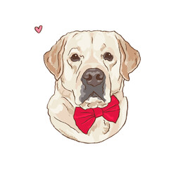 labrador retriever digital portrait with red bow - dogs illustration