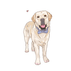 labrador retriever standing digital portrait with bow - dogs illustration