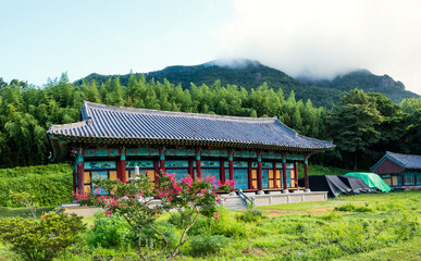 여름철에 고풍스런 한옥 주변에 피는 붉은 배롱나무(백일홍) 꽃.