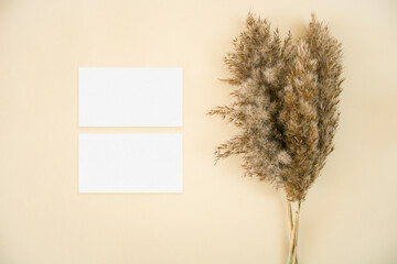 Mockup business cards with pampas grass on beige background
